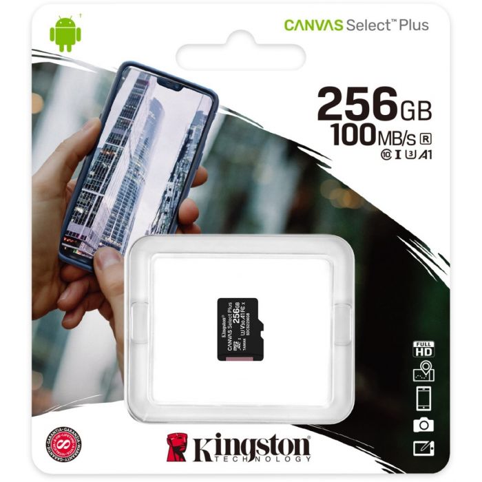 Kingston MicroSD 256GB 